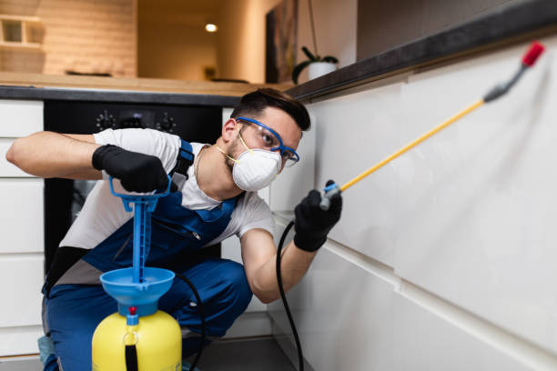  Milford City, CT Pest Control Pros