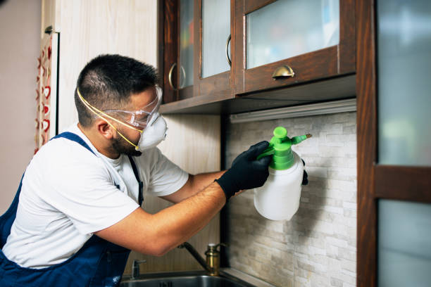 Best Mosquito Control Services  in Milford City, CT