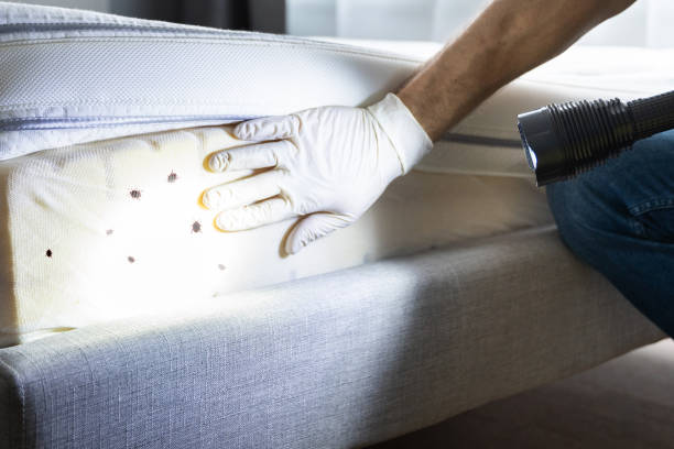 Best Pest Prevention Services  in Milford City, CT