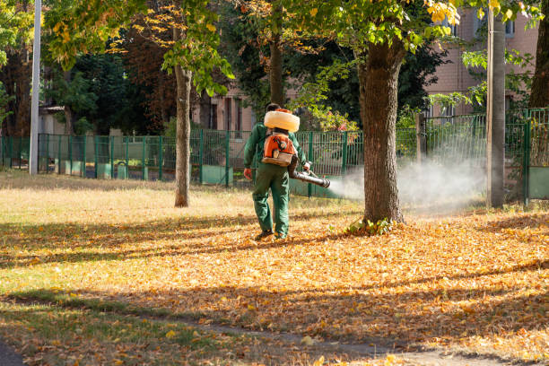 Trusted Milford City, CT Pest Control Experts
